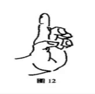 单指