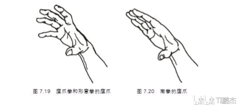 鹰爪